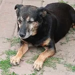 Uratowany w ostatniej chwili