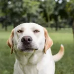 02.08.2024 - Sobótki