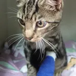 INTERWENCJA 05.09.2024.