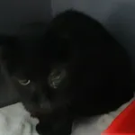 INTERWENCJA 04.09.2024.