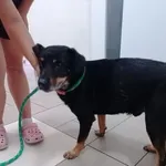 26.08.2024 - Starokrakowska