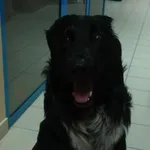 INTERWENCJA  POLICJI 04.09.2024.