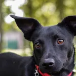 13.08.2024 - Działkowa