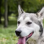 03.08.2024 - Fundowicza