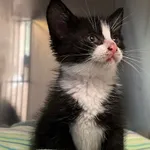 4555/123/24- data przyjęcia - 09.09.2024