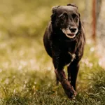 Merry 616096700032216