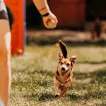 Ziomek 616093902899553