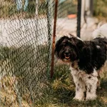 Salto 616093902778288