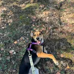 Lunka - uśmiechnięta, młodziutka, niekonfliktowa!