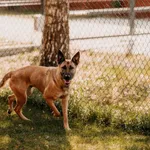 Aura 616093902899782