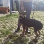 02.09.2022r- Sławna