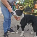 27.09.2024 - Lubelska