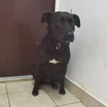 16.08.2022r-Wolanowska