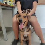 03.09.2024 - Kozienicka