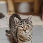 Kto pokocha Kropkę i Przecinka?