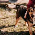 Miniu 616093902899590