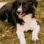 Dafne 616093902899492