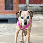 SUCZKA Z INTERWENCJI 27.10.2024