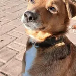 Berek Spakowany Już Czekał Na Walizkach I Nagle….