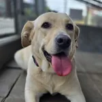 SUCZKA Z INTERWENCJI DNIA 05.11.2024