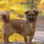 Suczka poz. 24/0683 w DT