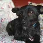 W Poszukiwaniu Własnego Domu