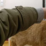 Kocurek poz. 24/799/K