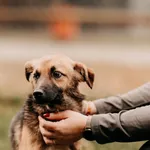 Gordo 616093902899657