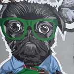 Znaleziono psa, Gdańsk, 28 stycznia 2025