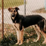 Rozalia 616093902899520