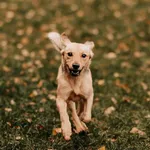 Nelka 616093902899528