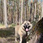 12359/201/22 Bax - data przyjęcia - 29.07.2022