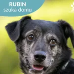 Rubin