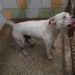 13021/235/24 -  data przyjęcia - 17.12.2024