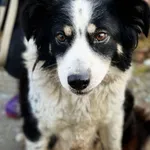 Poznaj Azę – wojowniczkę o drugą szansę na szczęście!