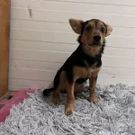 13023/237/24 -  data przyjęcia - 18.12.2024