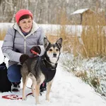 Znaleziono psa, Sosnowiec, 22 grudnia 2024