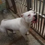 13030/244/24 - data przyjęcia - 25.12.2024