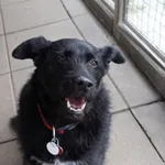 SUCZKA Z INTERWENCJI 27.12.2024.