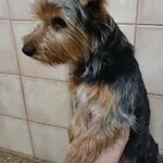 13031/245/24 - data przyjęcia - 26.12.2024