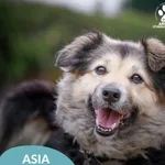 Asia
