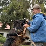 Pies do adopcji, Kraków, 20 grudnia 2024