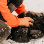 Rocky 616093902899589