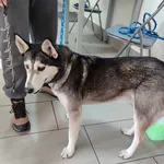 01.01.2025 - Witosa