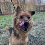 13048/14/25 Sonia - data przyjęcia - 10.01.2025