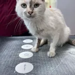 4613/5/24 data przyjęcia - 13.01.2025