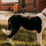 Bożenka 616093902899586