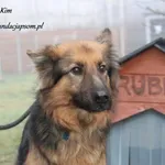 Kim