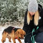 Pies do adopcji, Nowodwór, 19 stycznia 2025