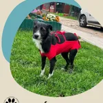 Lilka